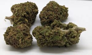 thca texas