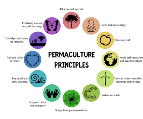 The 12 Principles Of Permaculture How To Put To Work Permaculture Principles In Your Life Now Permaculture Design Green Living