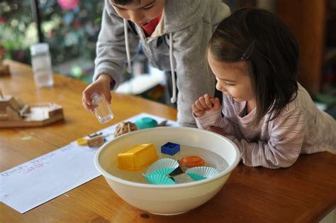 The 15 Best Montessori Science Activities For Preschoolers Montessori Science Activities - Montessori Science Activities