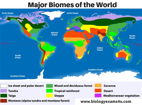 The 6 Major World Biomes Plant And Animal World Biomes Worksheet - World Biomes Worksheet