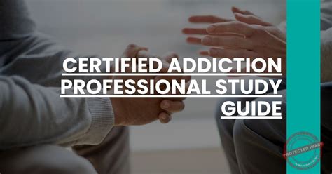 the addiction professional