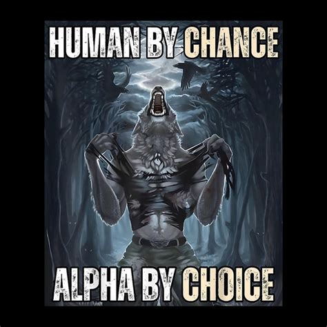 The Alpha Wolf ( Werewolf High Book 9)