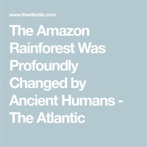 The Amazon Rainforest Was Profoundly Changed By Ancient Rainforest Science - Rainforest Science