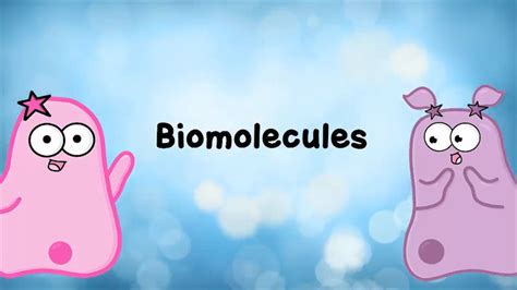 The Amoeba Sisters Biomolecules Dcmp Amoeba Sisters Biomolecules Worksheet - Amoeba Sisters Biomolecules Worksheet