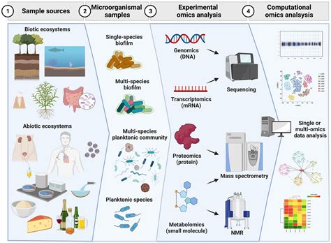 The Analysis Of Biological