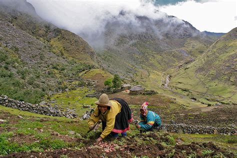The Andean Mountains Farming