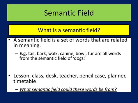 The Application Of Semantic Field Theory To English