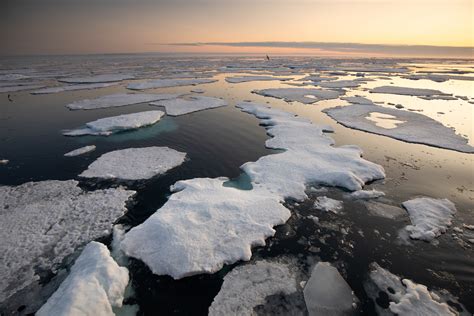 The Arctic Is Warming Four Times Faster Than Time Science - Time Science