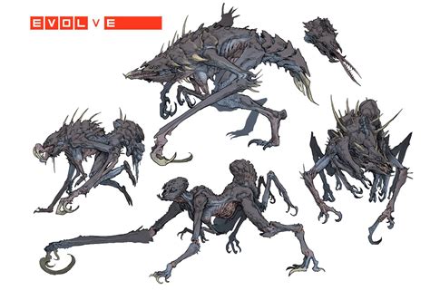 the art of evolve