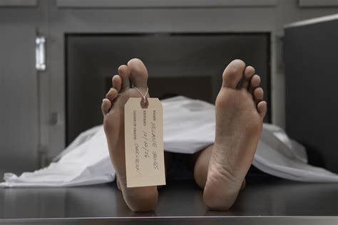 The Autopsy Of