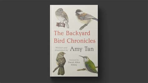 The Backyard Bird Chronicles
