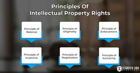the basic principles of intellectual property lawstudy guide