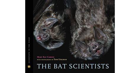 The Bat Scientists Scientists In The Field