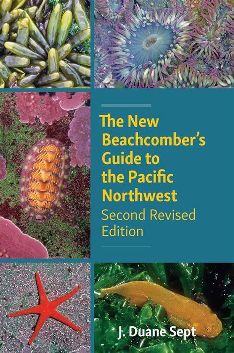 the beachcomber s guide to marine debris