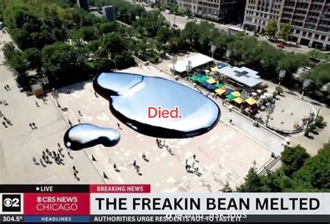 The Bean Melted