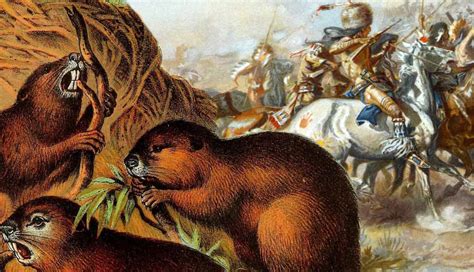 The Beaver Wars