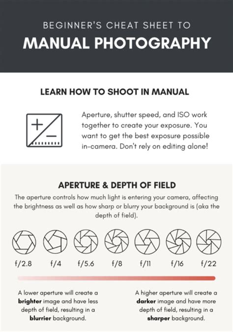 the beginner s photography guide the ultimate step