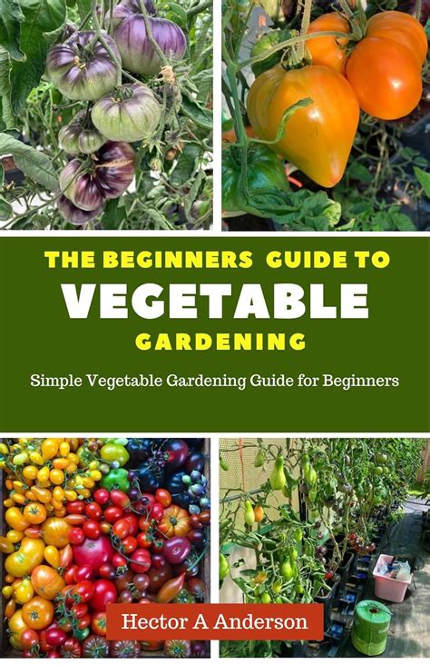 The Beginner's Guide To Vegetable Gardening: Everything You Need To Know ( Ffa)