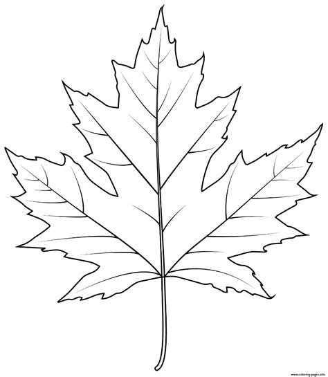 The Best Free Maple Leaf Coloring Page Images Maple Tree Coloring Pages - Maple Tree Coloring Pages