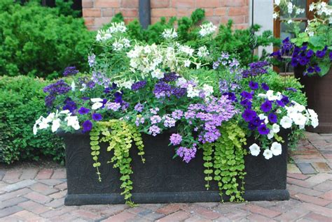 The Best Outdoor Potted Plants To Add A Best Potting Soil For Balcony Garden - Best Potting Soil For Balcony Garden
