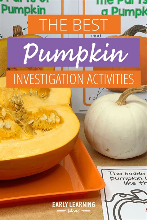 The Best Pumpkin Science Activities That Will Engage Pumpkin Science Preschool - Pumpkin Science Preschool