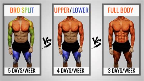 The Best Science Based Workout Split To Maximise Science Workout - Science Workout