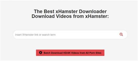 The Best Xhamster Downloader Online Tube Ninja Xhamster Downloader - Xhamster Downloader