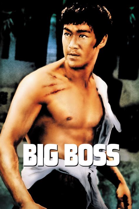 the big boss 1971 subtitles