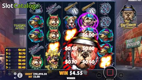 THE BIG DAWGS SLOT：Best Progressive Jackpot Slots ️ LIVE Trackers for Biggest Pools