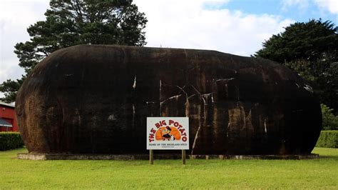 The Big Potato