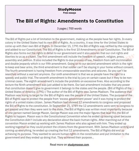 The Bill Of Rights Essay Demografie Netzwerk Bill Of Rights Activity - Bill Of Rights Activity