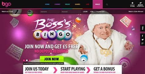 the bingo online.com giqo belgium