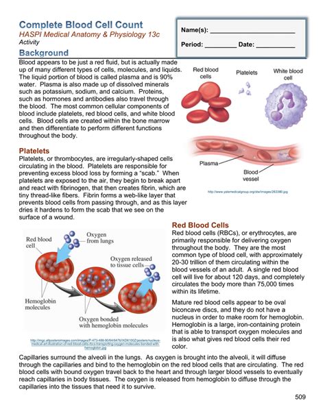 The Blood Worksheet   Blood Cells Worksheet 8211 Bored Monday - The Blood Worksheet