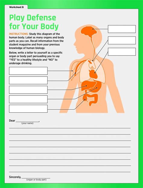 The Bodys Defense Worksheets Learny Kids Body Defenses Worksheet - Body Defenses Worksheet