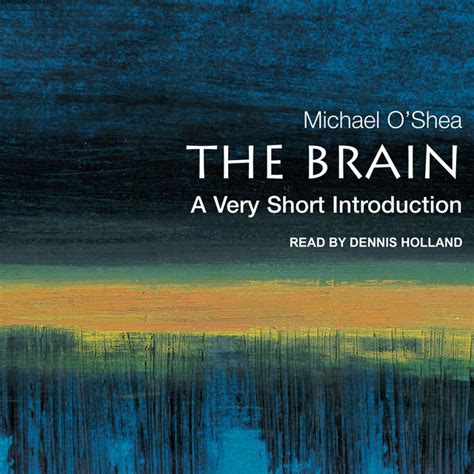 the brain a very short introduction