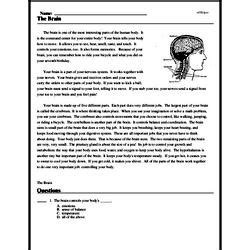 The Brain Reading Comprehension Worksheet Edhelper Right Brain Math Worksheets - Right Brain Math Worksheets