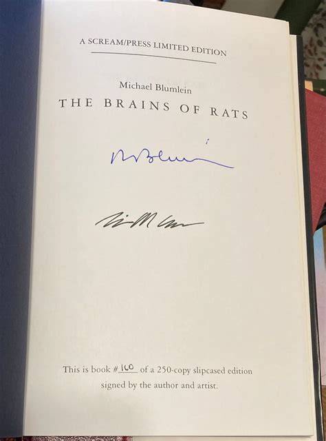 the brains of rats