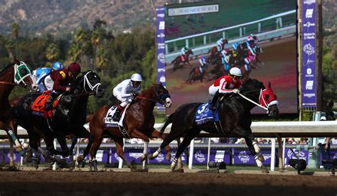 the breeders cup