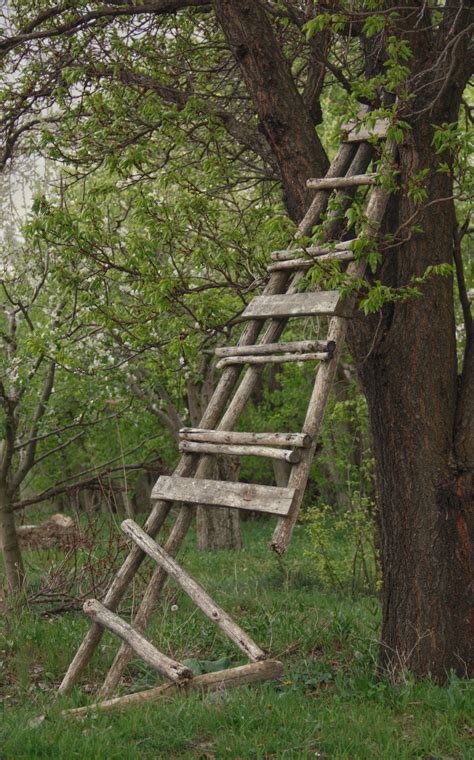 The Broken Ladder