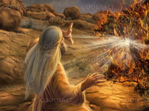 the call of moses and the exodus story a redactio