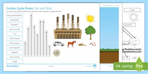The Carbon Cycle Cut And Stick Worksheet Teacher Carbon Cycle Activity Worksheet - Carbon Cycle Activity Worksheet