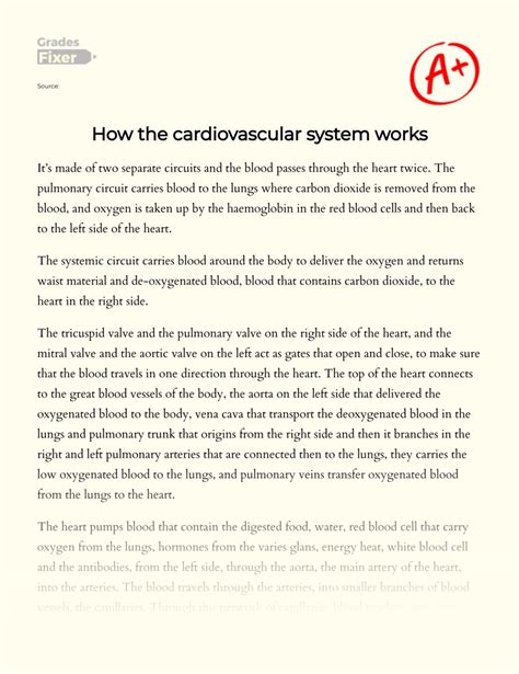 The Cardiovascular System Expert Custom Essay Writing Service Cardiovascular System Blood Vessels Worksheet - Cardiovascular System Blood Vessels Worksheet