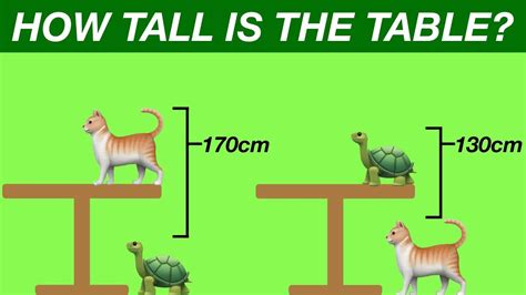 The Cat Turtle Amp Table Logic Puzzle Interesting Math Turtle - Math Turtle
