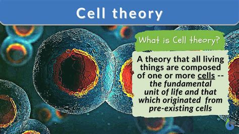 the cell by albertis
