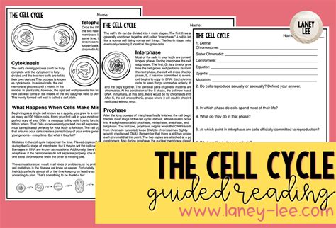 The Cell Cycle Coloring Worksheet Laney Lee Cell Cycle Coloring Worksheet Answers - Cell Cycle Coloring Worksheet Answers