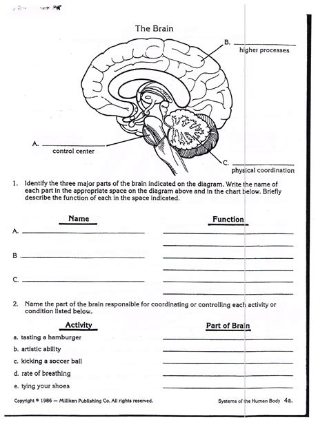 The Central Nervous System Worksheet Live Worksheets Central Nervous System Worksheet Answers - Central Nervous System Worksheet Answers