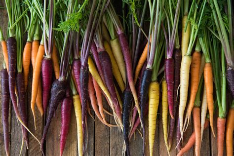 The Chefs Garden