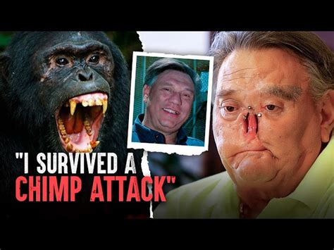 The Chimp Attack That Rocked A Nation The Evidence Speaks Volumes
