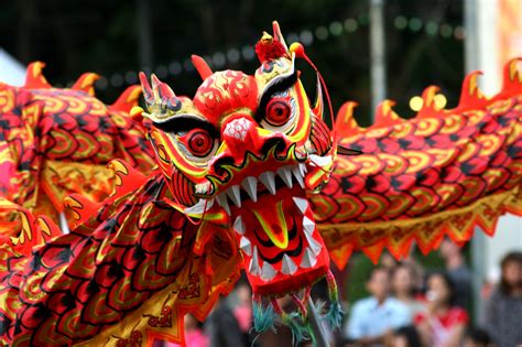 The Chinese Dragon All You Need To Know Celestial Chinese Dragon Reading Answers - Celestial Chinese Dragon Reading Answers