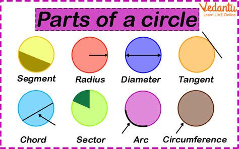 The Circle Names And Parts Of A Circle Label Circle Parts Worksheet Answers - Label Circle Parts Worksheet Answers